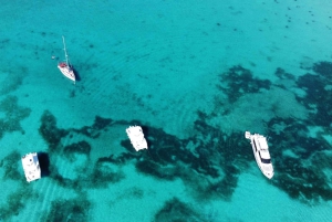 Punta Cana : excursion de plongée sous-marine à l'île Catalina avec déjeuner