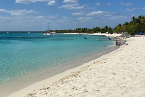 Punta Cana : excursion de plongée sous-marine à l'île Catalina avec déjeuner