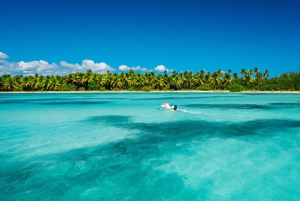 Punta Cana : excursion de plongée sous-marine à l'île Catalina avec déjeuner