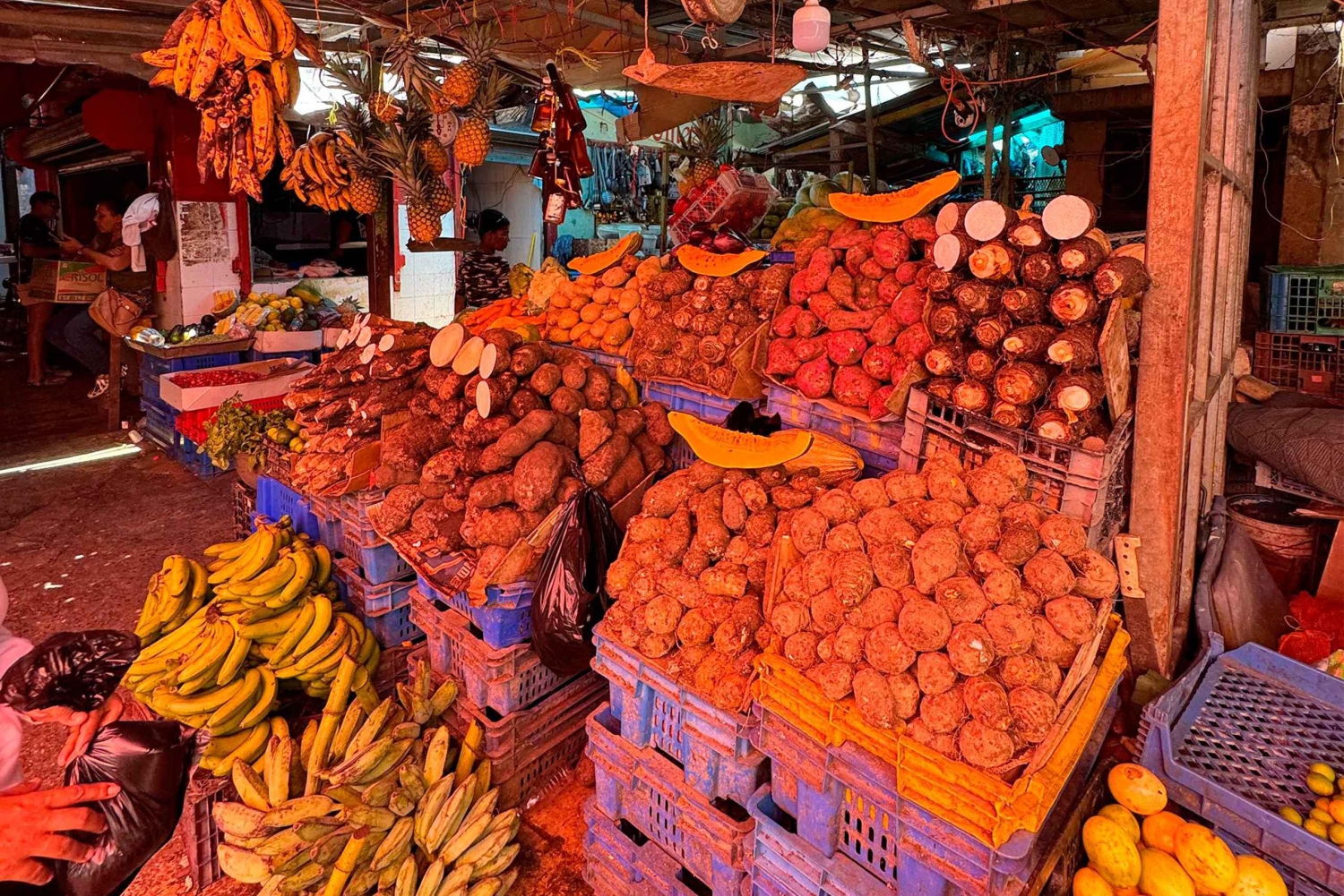 Punta Cana Cultural Tour Histoire et Traditions Petit groupe