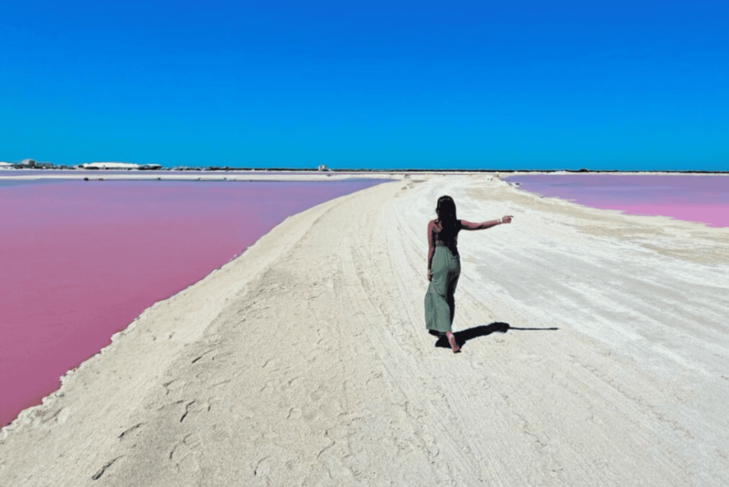 Riviera Maya: Rio Lagartos & Las Coloradas Day Trip w/Lunch