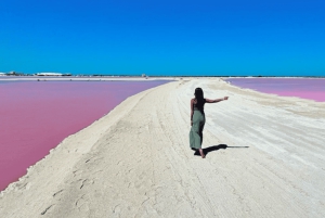 Riviera Maya: Rio Lagartos & Las Coloradas Day Trip w/Lunch