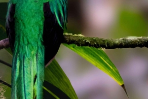San José: de Irazú-vulkaan en het Quetzal-avontuur
