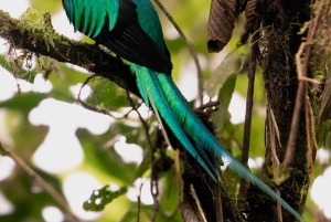 San José: de Irazú-vulkaan en het Quetzal-avontuur