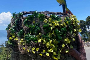 サン・フアンとサン・ペドロのツアー：アティトランのマヤ芸術の中心地をご案内します