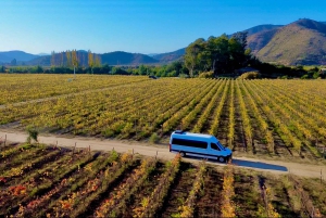 Santiago: Valparaiso, Viña del Mar, & Casablanca Valley Tour