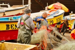 Santiago: Valparaiso, Viña del Mar, & Casablanca Valley Tour