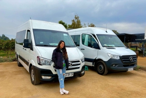 Santiago: Valparaiso, Viña del Mar, & Casablanca Valley Tour