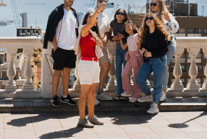 Santiago: Viña Del Mar, Valparaiso, Casablanca & Reñaca Tour