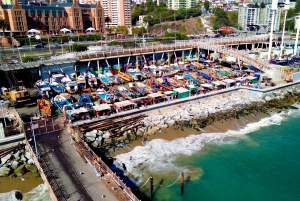 Santiago: Viña del Mar, Valparaiso, viininmaistajaiset