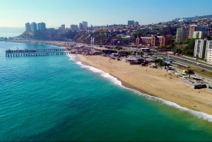 Santiago: Viña del Mar, Valparaiso, viininmaistajaiset