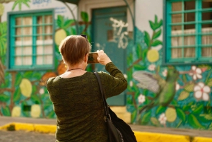 Santiago: Viña del Mar, Valparaiso, viininmaistajaiset