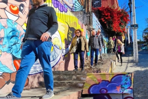 Santiago: Viña del Mar, Valparaiso, viininmaistajaiset