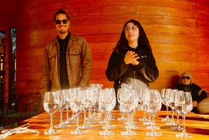 Santiago: Viña del Mar, Valparaiso, viininmaistajaiset