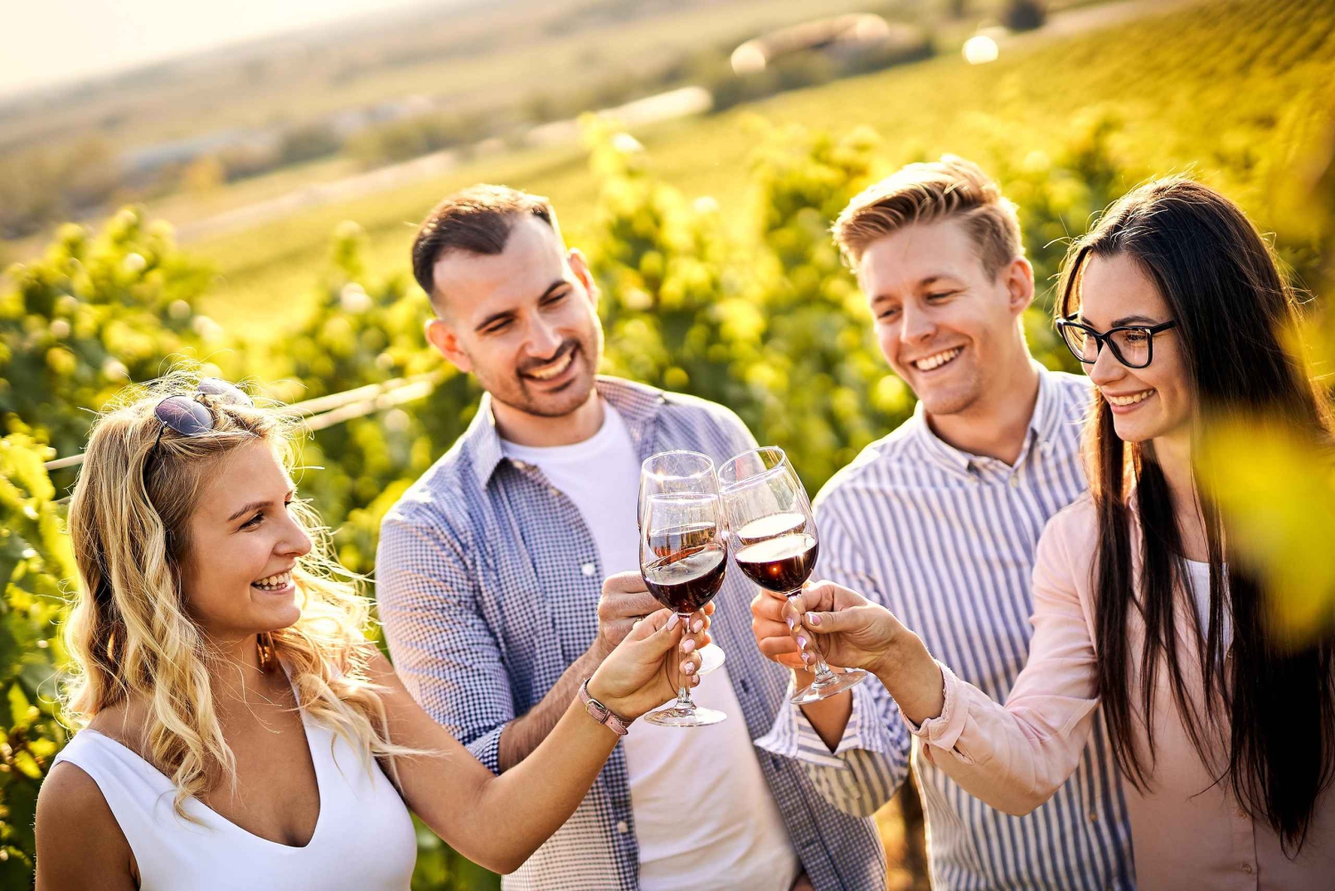 Santiago: Wina światowej klasy, wizyta w 4 winnicach i Tanino