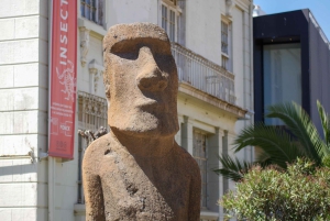 Valparaiso Port en Viña del Mar, Wijnproeven in Casablanca