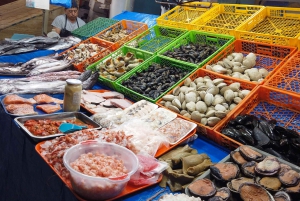 Valparaiso Port en Viña del Mar, Wijnproeven in Casablanca