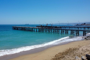 Valparaiso Port en Viña del Mar, Wijnproeven in Casablanca