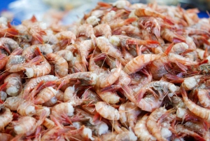 Valparaiso Port en Viña del Mar, Wijnproeven in Casablanca