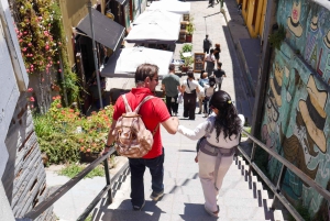 Valparaiso Port en Viña del Mar, Wijnproeven in Casablanca