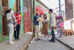 Valparaiso Port en Viña del Mar, Wijnproeven in Casablanca