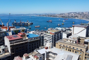 Valparaiso Port en Viña del Mar, Wijnproeven in Casablanca