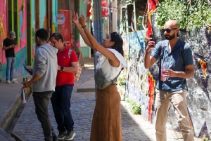 Valparaiso Port en Viña del Mar, Wijnproeven in Casablanca