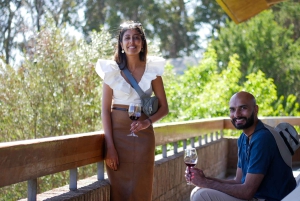 Valparaiso Port en Viña del Mar, Wijnproeven in Casablanca