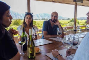 Valparaiso Port en Viña del Mar, Wijnproeven in Casablanca