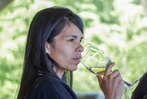 Valparaiso Port en Viña del Mar, Wijnproeven in Casablanca