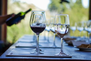 Valparaiso Port en Viña del Mar, Wijnproeven in Casablanca