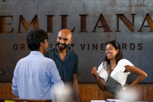 Valparaiso Port en Viña del Mar, Wijnproeven in Casablanca