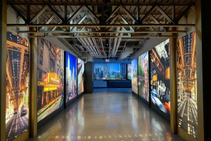 Chicago: pass per attrazioni da 1 a 5 giorni con Shedd Aquarium