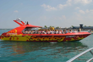 Chicago: pass per attrazioni da 1 a 5 giorni con Shedd Aquarium