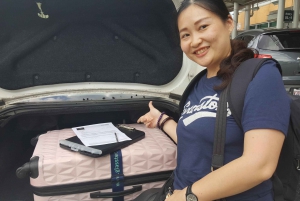 Chicago: Same-Day Luggage Delivery & Storage To/From Airport