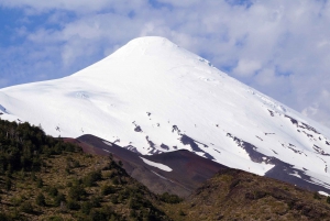Puerto Varasista: Varas: Osorno Volcano & Petrohue Falls päiväretki