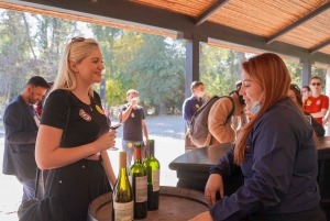 From Santiago: Concha y Toro Marqués Half-Day Wine Tasting