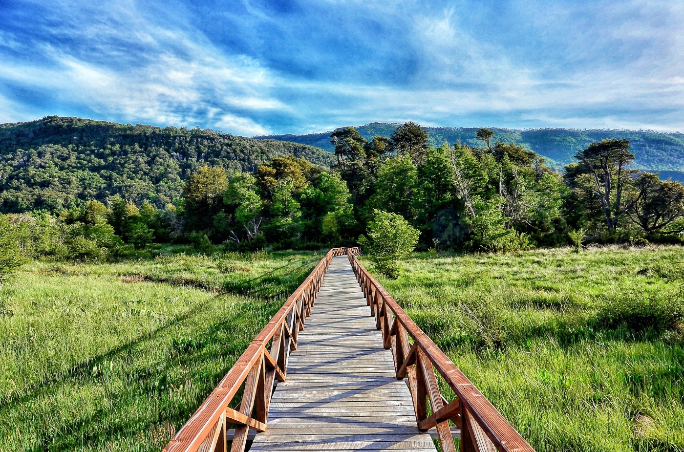 Laguna del Laja National Park