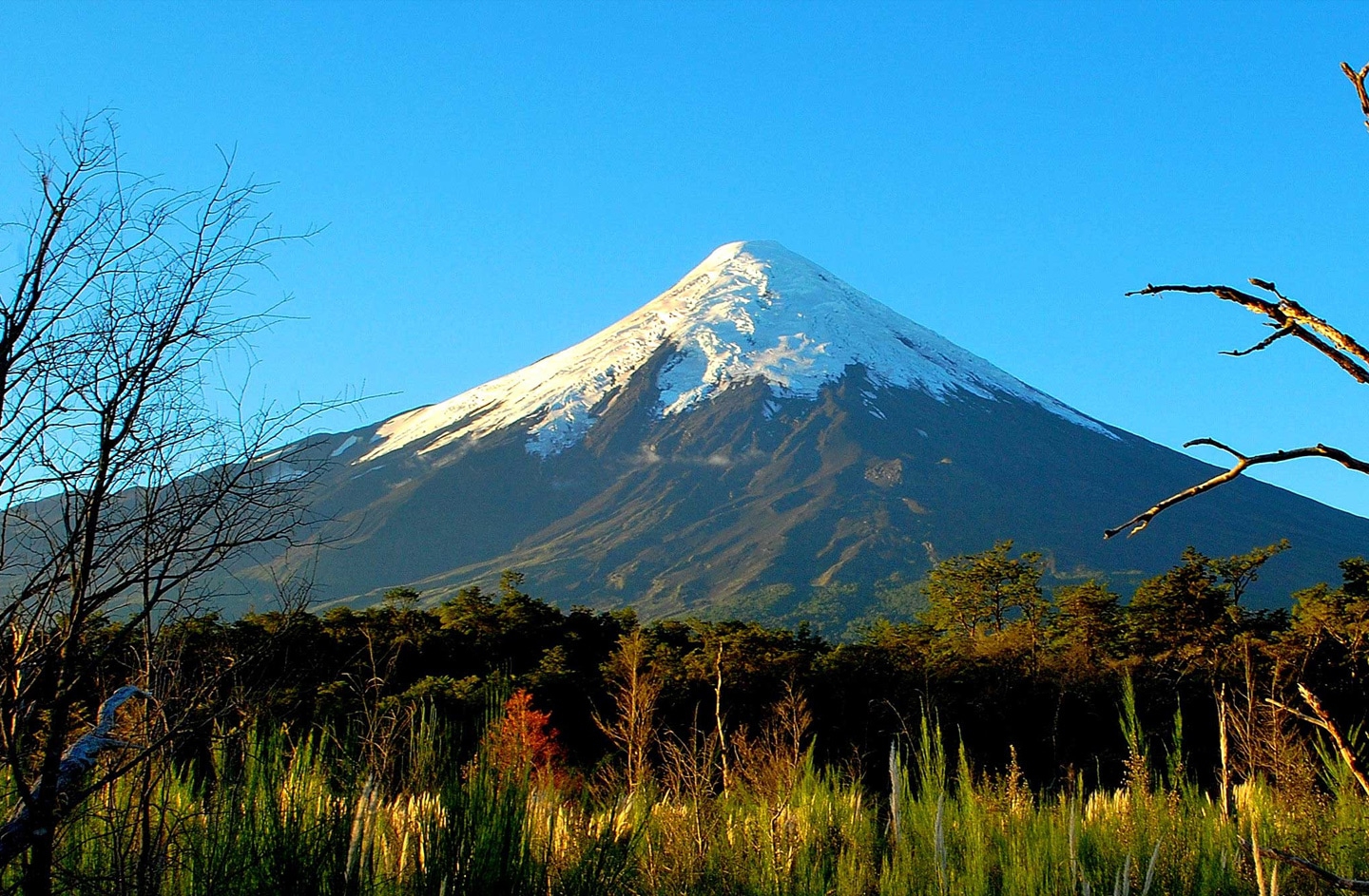 Volcan Llaima