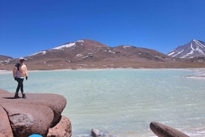 Piedras Rojas, Altiplanics Lagoons & Salar Full-Day Tour
