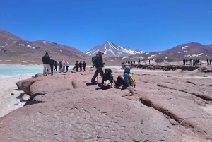 Piedras Rojas, Altiplanics Lagoons & Salar Full-Day Tour