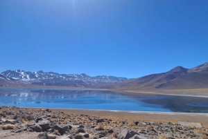 Piedras Rojas, Altiplanics Lagoons & Salar Full-Day Tour