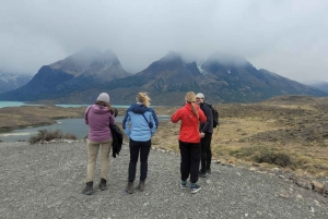 Puerto Natales: Full-Day Torres del Paine Tour