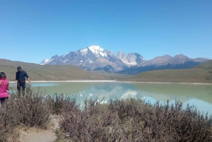 Puerto Natales: Full-Day Torres del Paine Tour