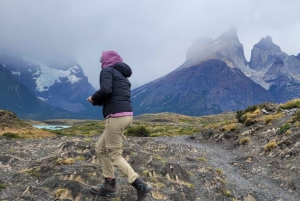Puerto Natales: Full-Day Torres del Paine Tour