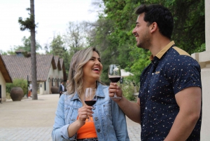 Santiago: Concha y Toro Vineyard Tour with Wine Tasting