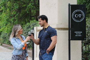 Santiago: Concha y Toro Vineyard Tour with Wine Tasting