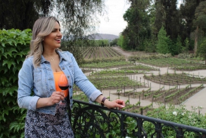 Santiago: Concha y Toro Vineyard Tour with Wine Tasting