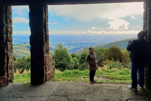 Tour en grupo reducido de 1/2 día por los lugares más destacados de Christchurch