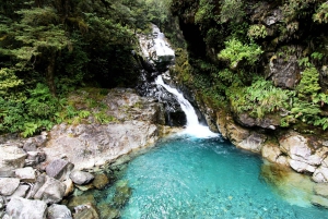 Visite privée de 5 jours de l'île du Sud de la Nouvelle-Zélande au départ de Queenstown